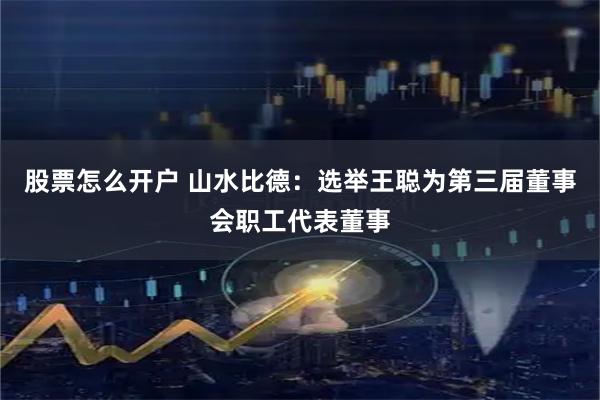 股票怎么开户 山水比德：选举王聪为第三届董事会职工代表董事