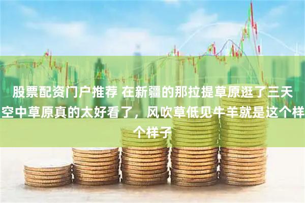 股票配资门户推荐 在新疆的那拉提草原逛了三天，空中草原真的太好看了，风吹草低见牛羊就是这个样子