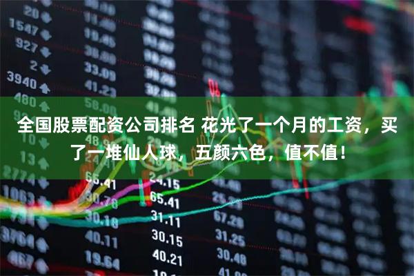 全国股票配资公司排名 花光了一个月的工资，买了一堆仙人球，五颜六色，值不值！