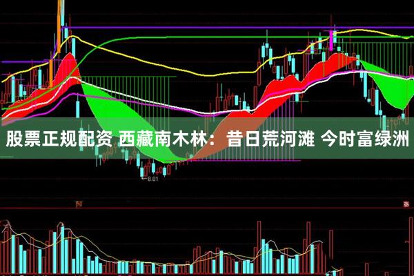 股票正规配资 西藏南木林：昔日荒河滩 今时富绿洲